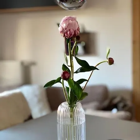 Nid D'amour Apartment Chatel